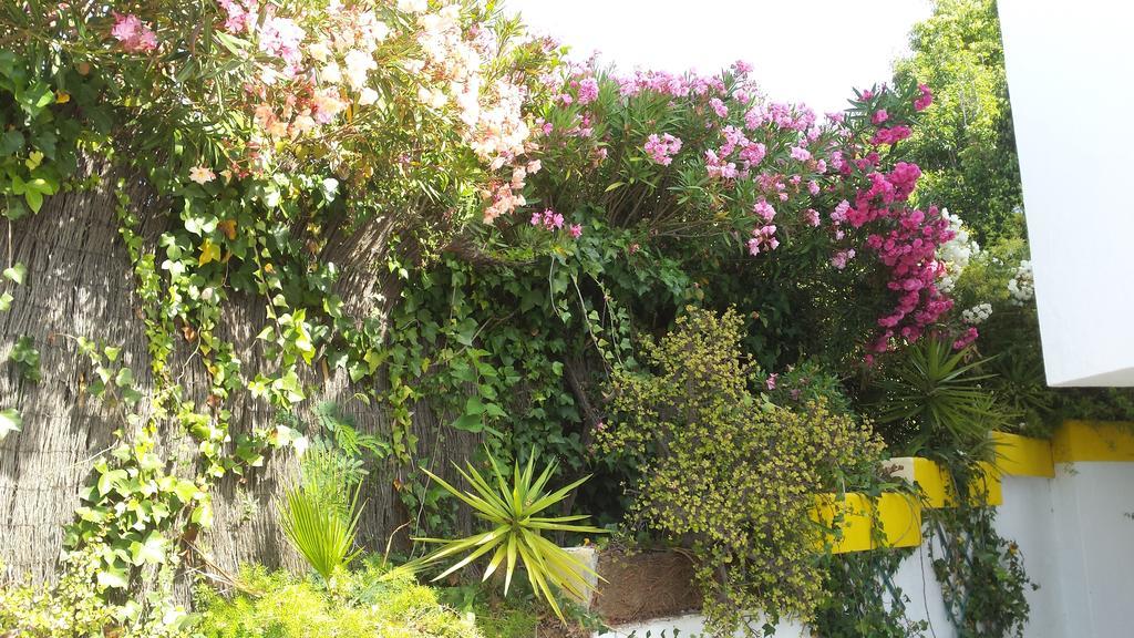 La Gaspara'S Loft Estepona Zewnętrze zdjęcie